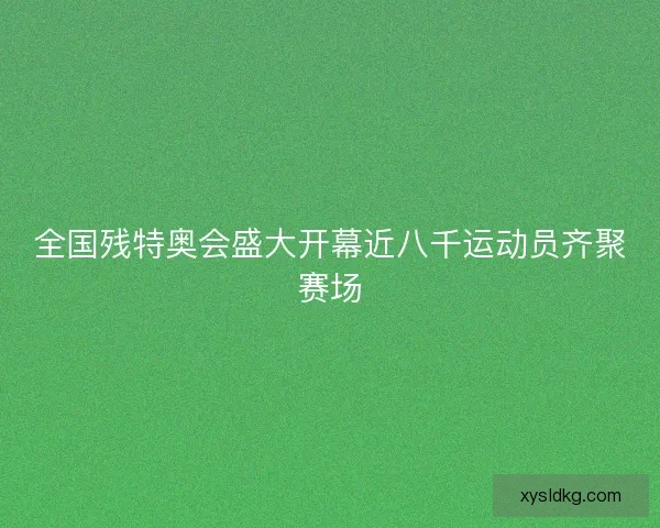 全国残特奥会盛大开幕近八千运动员齐聚赛场